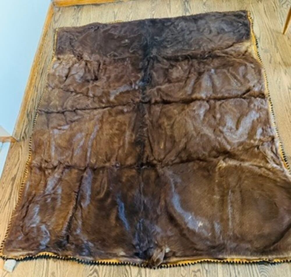 Antique Horse Hair Carriage Buggy Sleigh Wool Blanket by Edes Robe Tanning